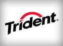 Trident Importer & Distributor Dubai