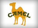 Camel Importer & Distributor Dubai